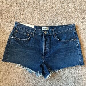 NWT Agolde Parker Shorts
